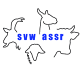 SVW-ASSR